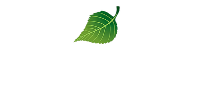 Finnleo Logo Finnleo Logo
